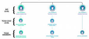 How should a SAAS organisation structure be with respect to the growth ...